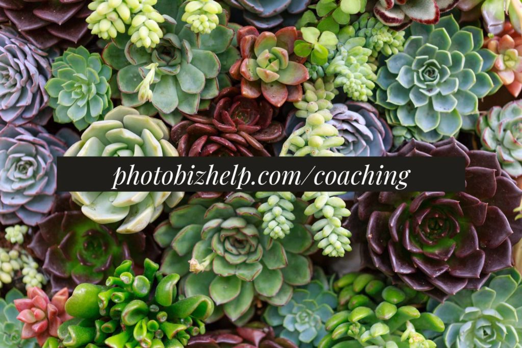 coaching with photo business help