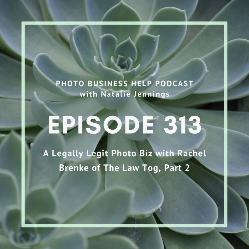 episode 313 photo business help podcast 